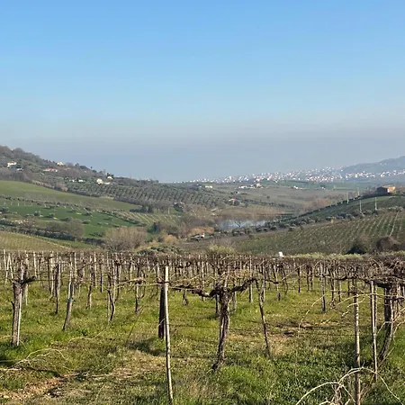 Holiday home Casa Degli Ulivi